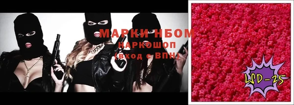 СК Горнозаводск