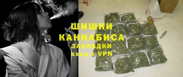 СК Горнозаводск